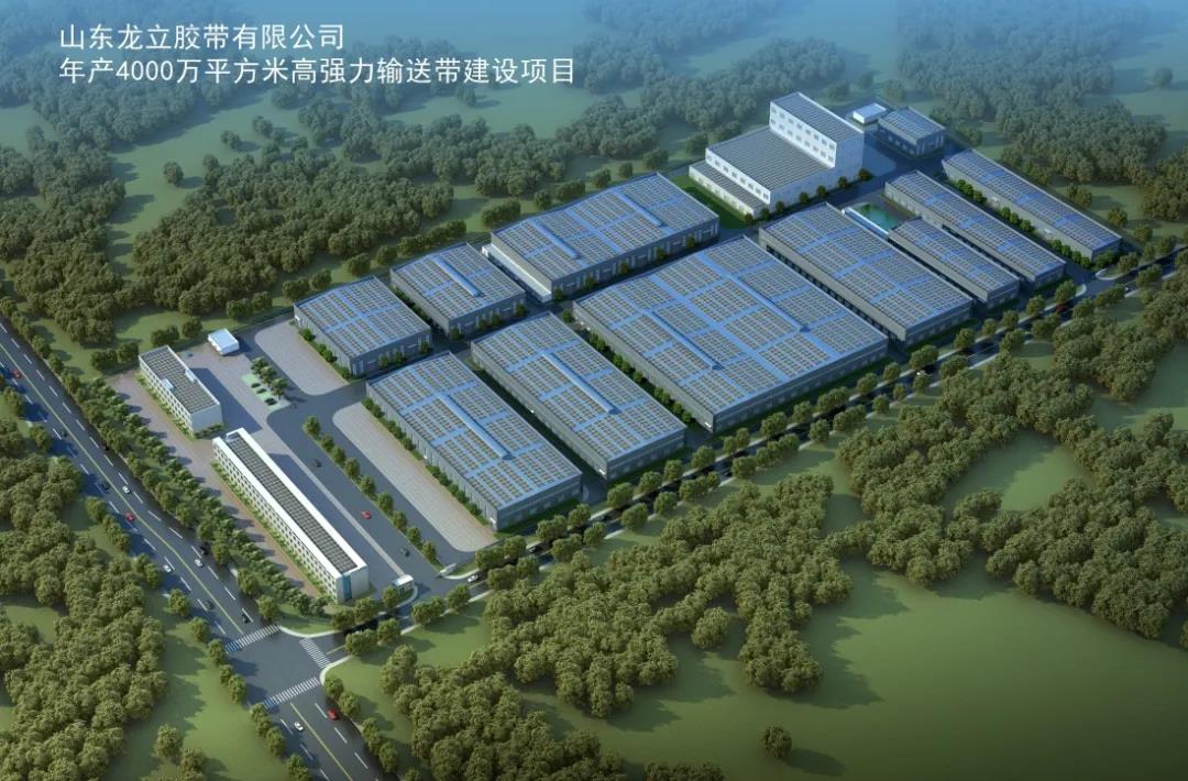 沂水縣縣領導視察觀摩龍立膠帶新區項目現場